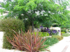 AILDM Award - Glebe Gardens