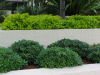 AILDM Award - Glebe Gardens