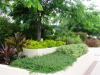 AILDM Award - Glebe Gardens
