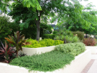 AILDM Award - Glebe Gardens