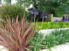 AILDM Award - Glebe Gardens
