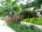 AILDM Award - Glebe Gardens