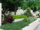 AILDM Award - Glebe Gardens