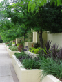 AILDM Award - Glebe Gardens