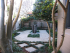 Mosman front garden