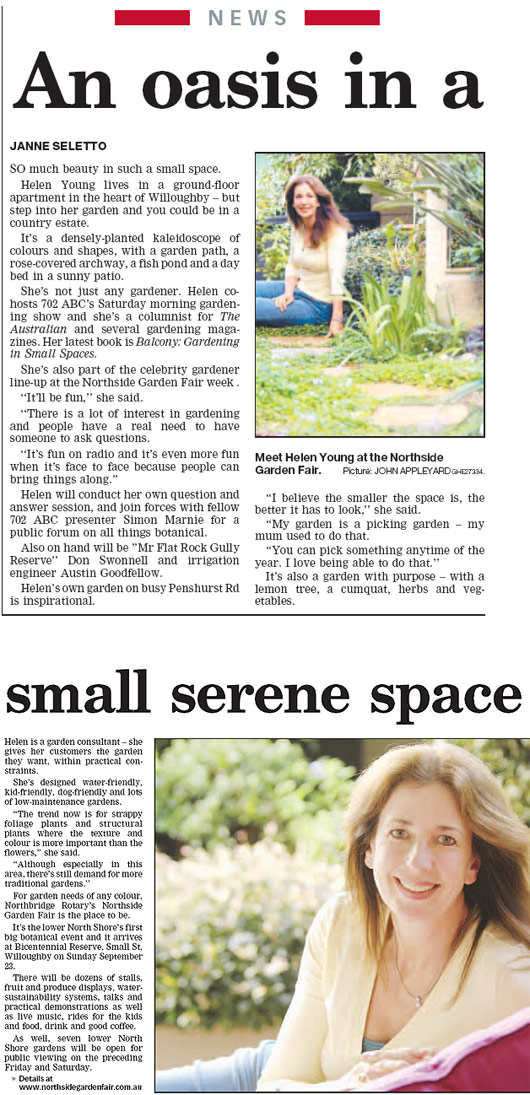 A Recent Article