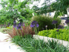 Soft Landscaping Services