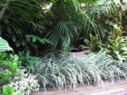 Garden Renovations Sydney